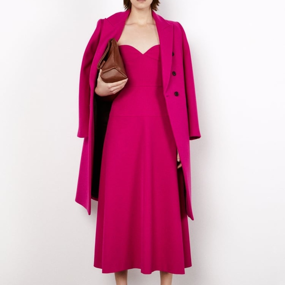 Zara Bustier Midi Dress - Picture 9 of 15